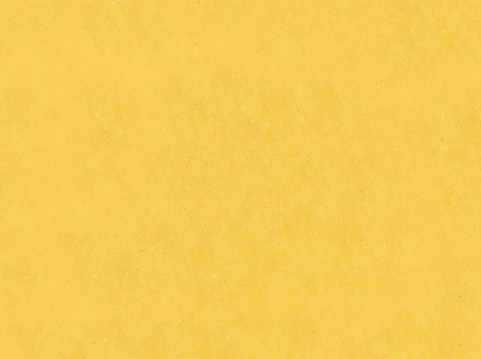 WINEO 1500 roll chip Honey mustard PLR128C