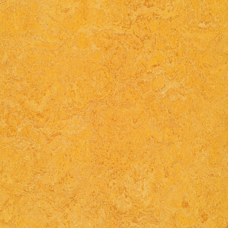 FORBO Marmoleum marbled real Dandelion 3225