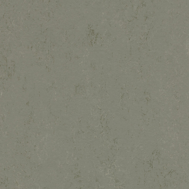 FORBO Marmoleum solid concrete Glacier 3755