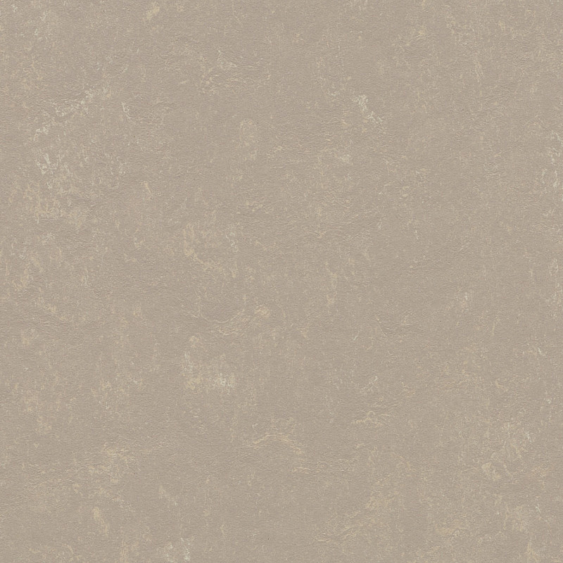 FORBO Marmoleum solid concrete Fossil 3708