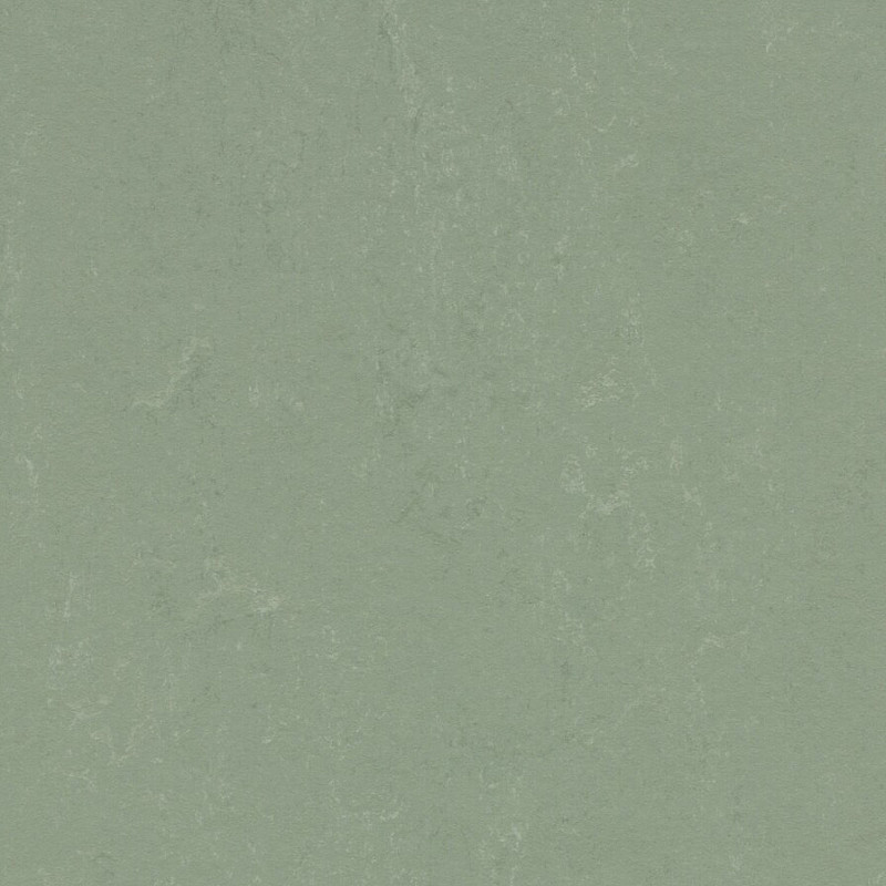 FORBO Marmoleum solid concrete Pine forest 3750