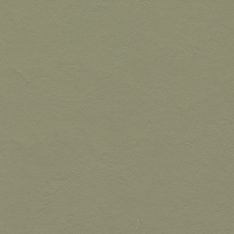 FORBO Marmoleum solid walton Rosemary green 3355