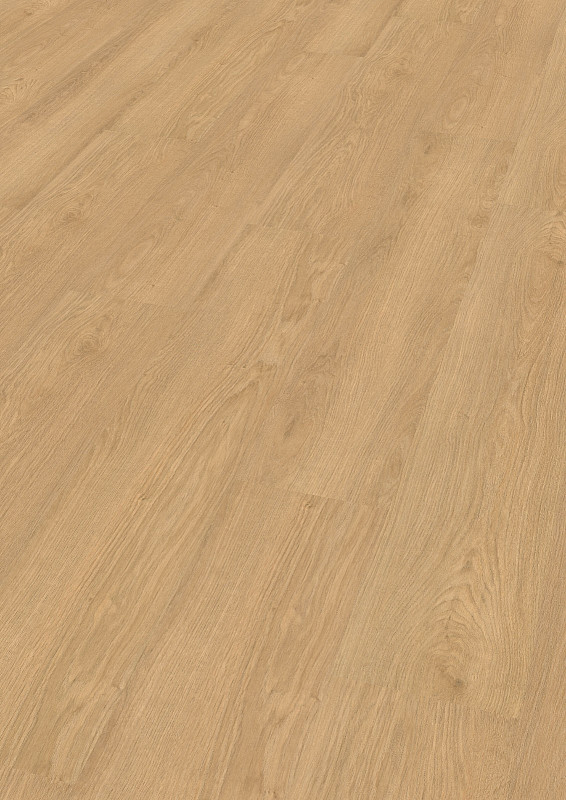 WINEO 1500 wood XL Siena oak honey PL15221WXL