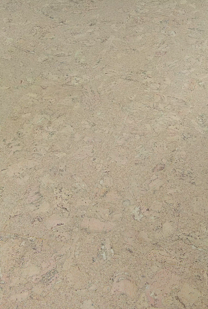 AMORIM WICANDERS Wise cork inspire Shell jasmin 80003483