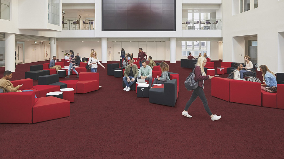 FORBO Flotex Advance Code Berry S203083