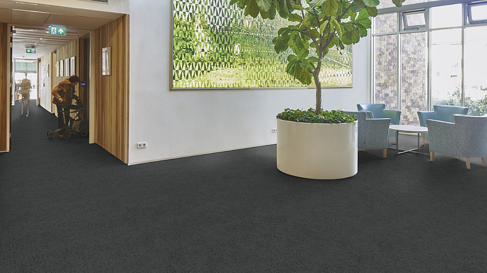 FORBO Flotex Advance Code Ash S203031