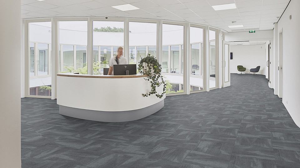 FORBO Flotex Advance Latitude Grey T302037