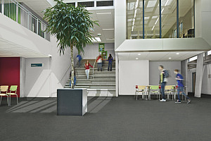 FORBO Flotex Advance Code Concrete S203079 - Śpeciálna podlaha