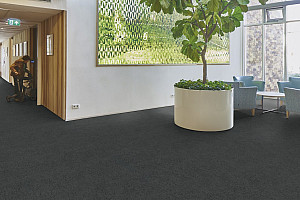 FORBO Flotex Advance Code Ash S203031 - Śpeciálna podlaha