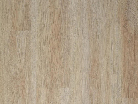 CANADIAN DESIGN XXL premium Dub barrie 8594187733179