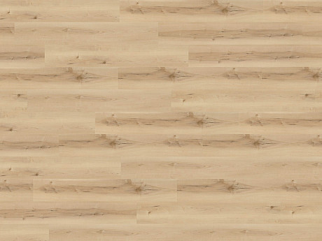 WINEO 400 wood XL Nordic maple cream DB289WXL