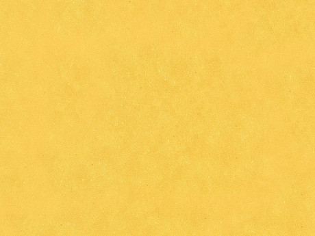 WINEO 1500 chip Honey mustard PLR128C