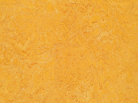 FORBO Marmoleum marbled real Dandelion 3225