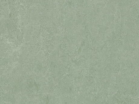 FORBO Marmoleum marbled fresco Sage 3891