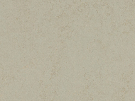 FORBO Marmoleum solid concrete Dust 3760