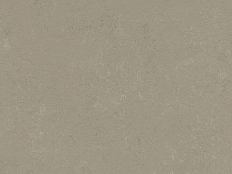 FORBO Marmoleum solid concrete Mercury 3759