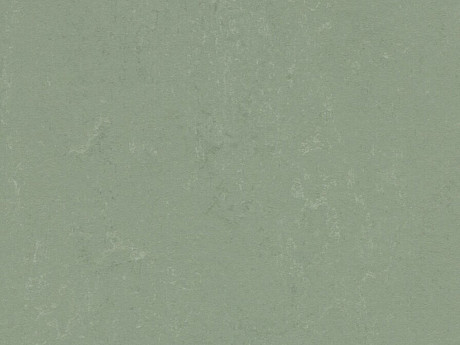 FORBO Marmoleum solid concrete Pine forest 3750