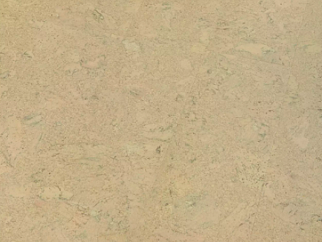 AMORIM WICANDERS Wise cork inspire Shell marfim 80003484