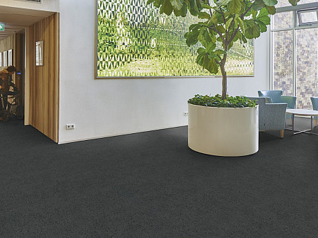 FORBO Flotex Advance Code Ash S203031