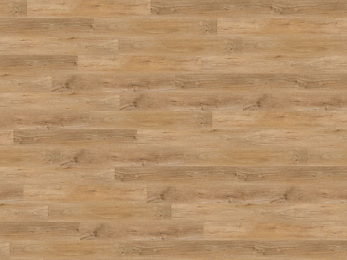WINE 600 wood Warm place DB184W6