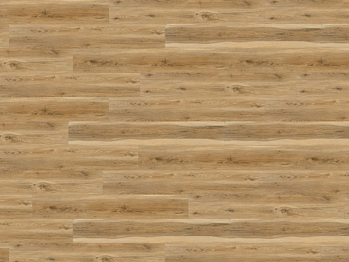 WINE 600 wood XL Sydney loft DB194W6