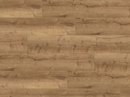 WINE 600 wood XL Vienna loft DB196W6