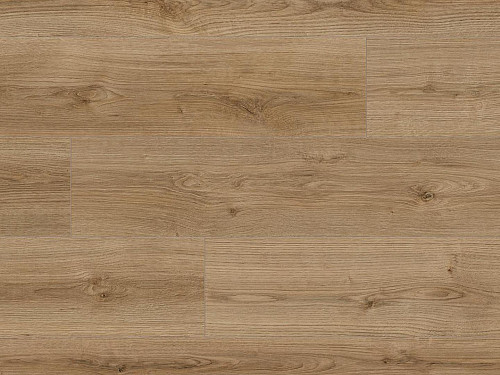 KAINDL Natural Touch 8.0 štandard Dub Evoke trend K4421