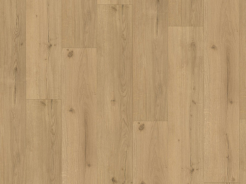 PARADOR Basic 5.3 SPC Dub infinity prírodné svieži štruktúra 1744607