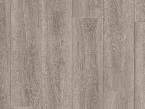 TARKETT Starfloor click solid 55 English oak grey beige 36021029