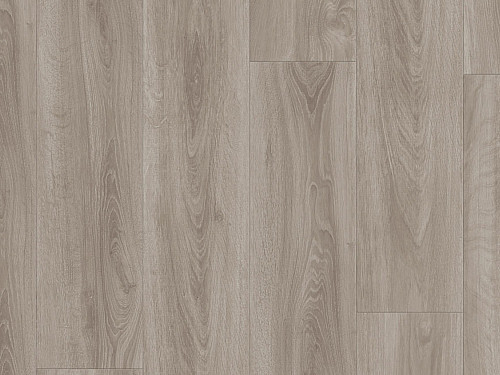 TARKETT Starfloor click solid 55 English oak grey beige 36021029