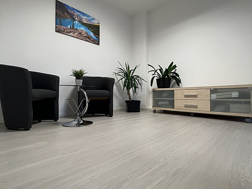 CANADIAN DESIGN Classic Dub toronto svetlo šedý 8594187739461