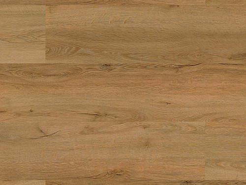 FLOOR FOREVER Authentic oak Dub kráľovský 1020