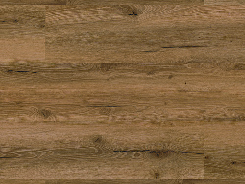 FLOOR FOREVER Authentic oak Dub kniežací 2030