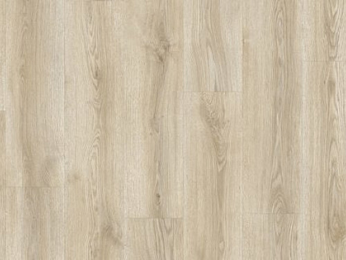 FLOOR FOREVER Divino Dub zeus 84224