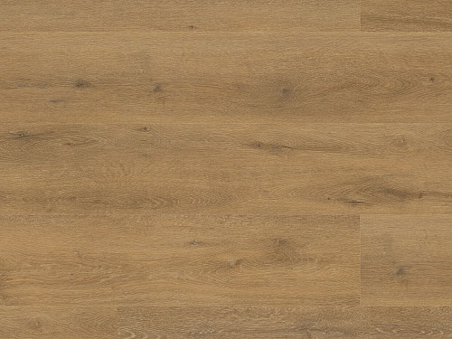 FLOOR FOREVER Authentic oak click rigid Dub pážecí 4010