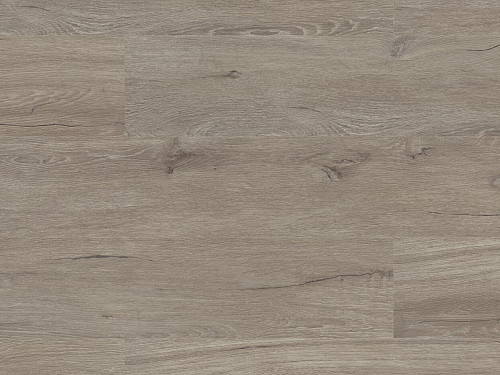 FLOOR FOREVER Authentic oak click rigid Dub šľachtický 5020