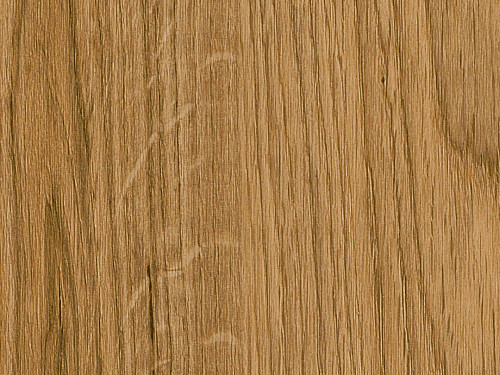 AMTICO FIRST Wood English oak SF3W2498