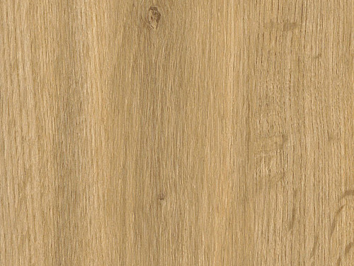 AMTICO FIRST Wood Falmouth oak SF3W1031