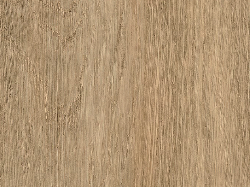 AMTICO FIRST Wood Wheat oak SF3W2775