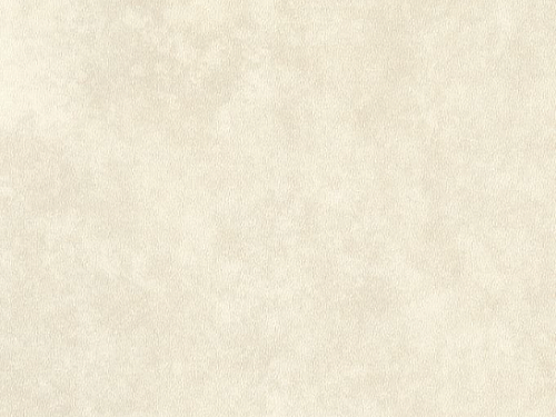 AMTICO FIRST Stone Dew stone SF3S4437