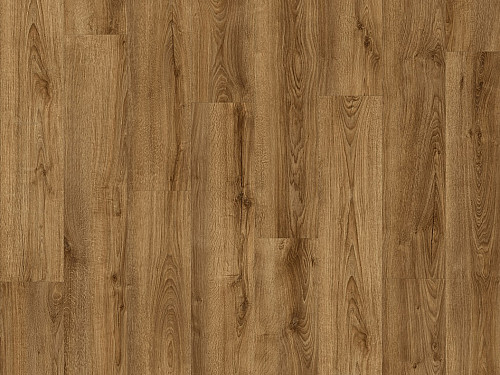 FLOOR FOREVER Divino click rigid Dub apollon 83853