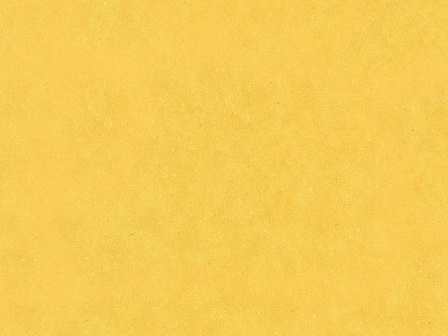 WINEO 1500 roll chip Honey mustard PLR128C