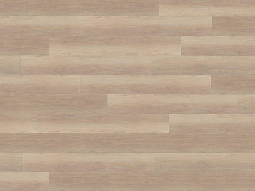 FLOOR FOREVER XL Dub electra 7987
