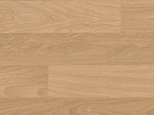 WINEO 1500 roll wood Halifax oak natural PLR389C