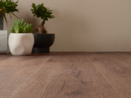 GERFLOR Creation 30 Cedar dark brown GERC30 1605