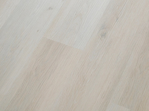 CORETEC Proplus Comcast 50RLV1201