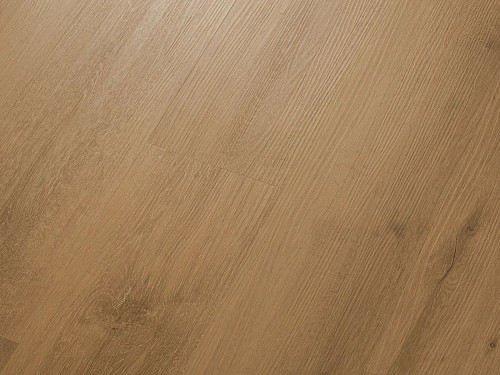 CORETEC Proplus Imperial 50RLV1207