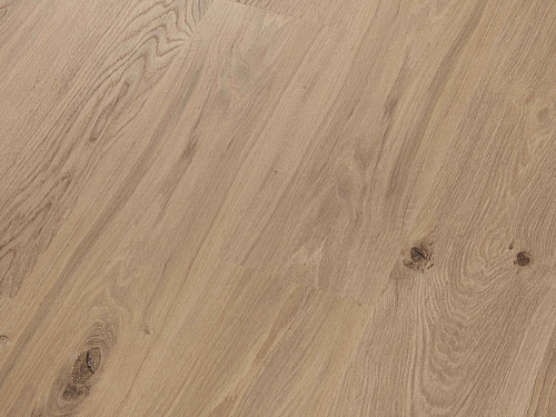 CORETEC Proplus Venetian 50RLVR4356