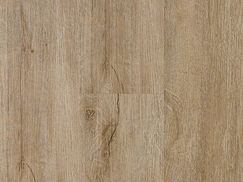 CANADIAN DESIGN Dry back canadian professional Dub ottawa 8594187731601