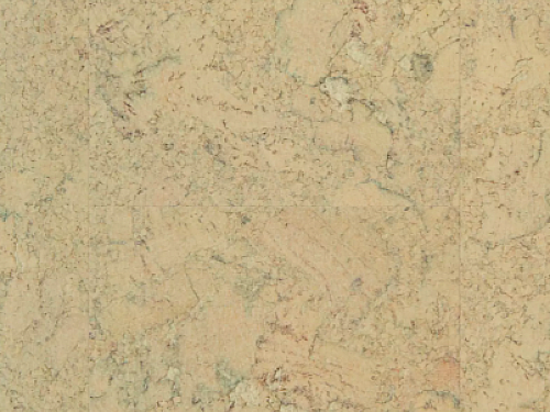 AMORIM WICANDERS Wise cork inspire Shell marfim 80003484